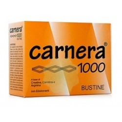 CARNERA 1000 18BUST