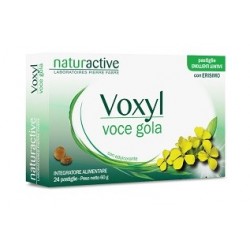 VOXYL VOCE GOLA 24PAST 60G