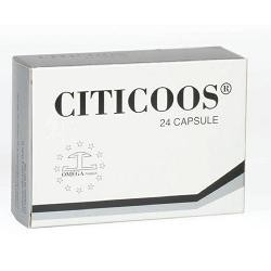 CITICOOS-INTEG 24 CPS