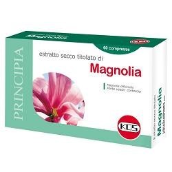 MAGNOLIA ESTR SECCO 60CPR KOS