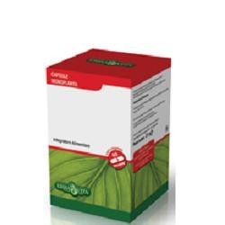 BOSWELIA SERRATA 60CPS 400MG EBV