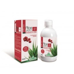 SUCCO ALOEVERA ALOEMIRT R1LT