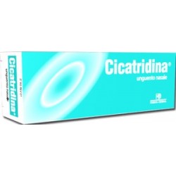 CICATRIDINA UNGUENTO NAS 15G