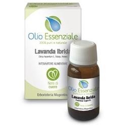 LAVANDA OLIO ESS 10ML