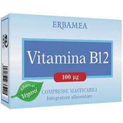 VITAMINA B12 90CPR MASTIC ERBAM