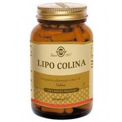 SOLGAR LIPO COLINA 100VEGICPS