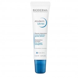 BIODERMA ATODERM LEVRES BAUME BALSAMO LABBRA SECCHE 15ML