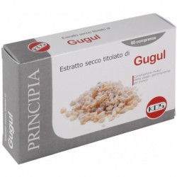 GUGUL ESTR SEC 60CPR 22,2G