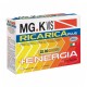 MGK VIS RICARICA PLUS SALI MINERALI E VITAMINE 14 BST