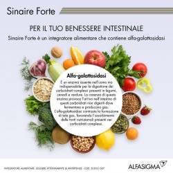 SINAIRE FORTE BENESSERE INTESTINALE 60 COMPRESSE