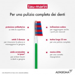 TAUMARIN SPAZZOLINO SCAL33 DURO ANTIB