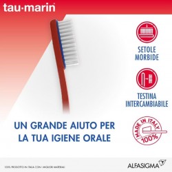 TAUMARIN MAGNUM SPAZZOLINO MORBIDO INTERCAMBIABILE