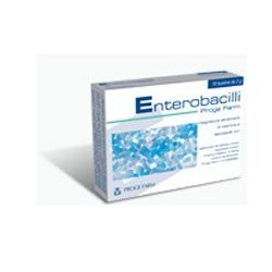 ENTEROBACILLI-10 BS