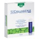 ESI BIOCOLLAGENIX INTEGRATORE ANTI AGE 10 DRINK