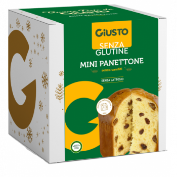 GIUSTO SENZA GLUTINE MINI PANETTONE CLASSICO 100 G