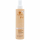 ALAMA LISS SPRAY LISCIANTE EXTRA LISS CAPELLI LISCI 250ML