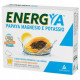 ENERGYA PAPAYA MAGNESIO E POTASSIO SALI MINERALI 14BST