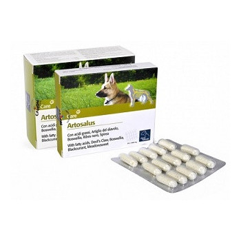 ORME NAT ARTOSALUS 60 COMPRESSE