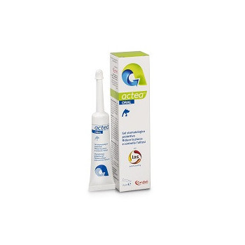 ACTEA ORAL GEL STOMATOLOGICO 15 ML
