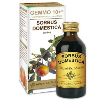 SORBO ANALCO GEMMO 10+ 100 ML