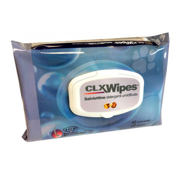 CLX WIPES 40 SALVIETTE