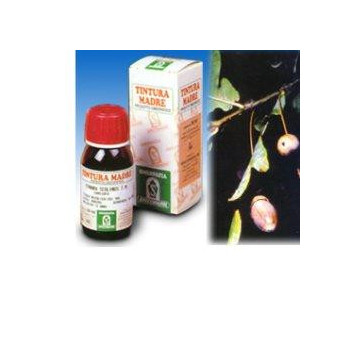 QUERCIA MARI 14 50ML TM