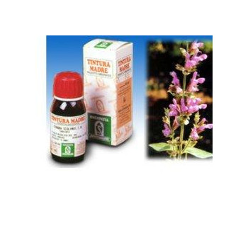 SALVIA 25 50ML TM