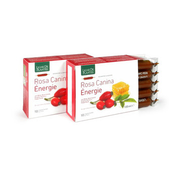 ROSA CANINA ENERGIE BIOLOGICO 10 AMPOLLE BEVIBILI DA 10 ML