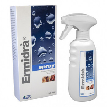 ERMIDRA' SPRAY 300 ML