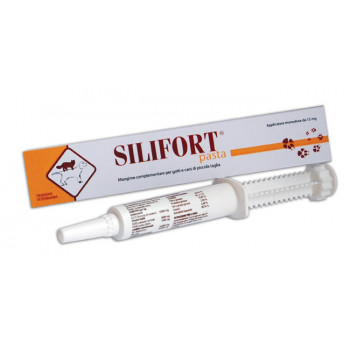 SILIFORT PASTA OS SIRINGA 30 G