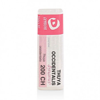 THUYA OCCIDENT 200CH GL