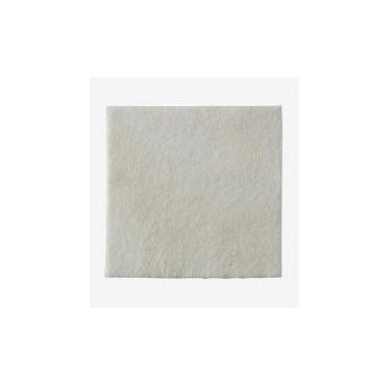MEDICAZIONE BIATAIN ALGINATE IN ALGINATO E CARBOSSIMETILCELLULOSA 15X15 CM 10 PEZZI