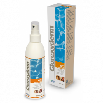 CLOREXYDERM SOLUZIONE 4% 200 ML