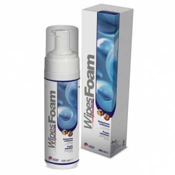 WIPES FOAM 200 ML