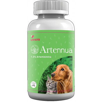 ARTENNUA 90 CAPSULE