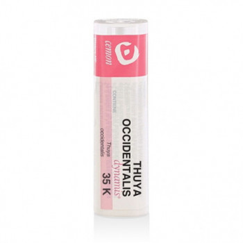 THUYA OCCIDENT 35K GR