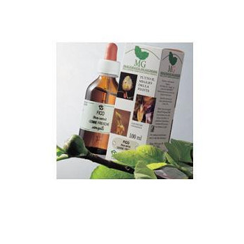 BETULA VERRUCOSA MACERATO GLICERICO 100 ML