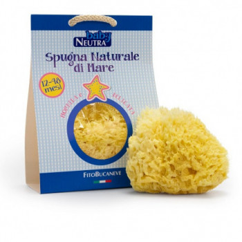 BABY NEUTRA SPUGNA NATURALE DI MARE 12/48 MESI
