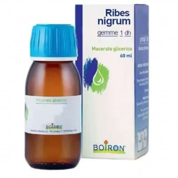 BOIRON RIBES NIGRUM MACERATO GLICERICO RIMEDIO ALLERGIE 60ML