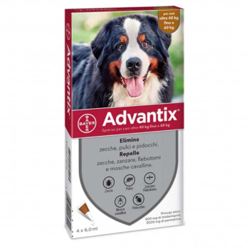 ADVANTIX SPOT ON CANI 40–60 KG ANTIPARASSITARIO 4 PIPETTE
