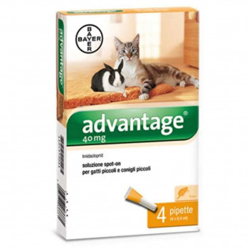 ADVANTAGE SPOT ON GATTI FINO A 4 KG ANTIPARASSITARIO 4 PIPETTE