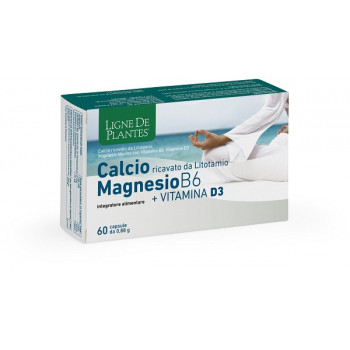 CALCIO + MAGNESIO B6 + VITAMINA D3 60 CAPSULE