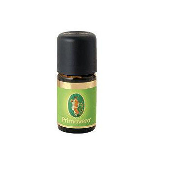 AROMATERAPIA ZENZERO OLIO ESSENZIALE BIO 5 ML