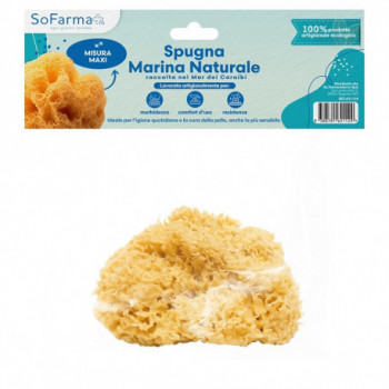 SOFARMAPIÙ SPUGNA MARINA NATURALE MAXI
