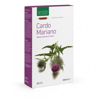 CARDO MARIANO 20 AMPOLLE BEVIBILI DA 15 ML
