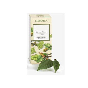 BETULA VERRUCOSA LINFA GEMMODERIVATO BIO 50 ML