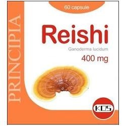 REISHI ESTR SEC 60 CPS 400MG KOS