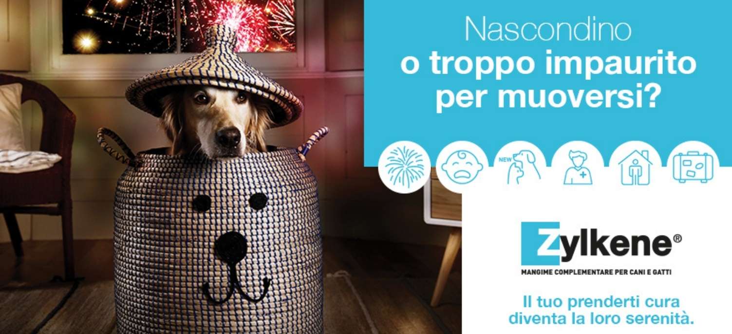 Banner Atterraggio NUOVO Zylkene_4.jpg